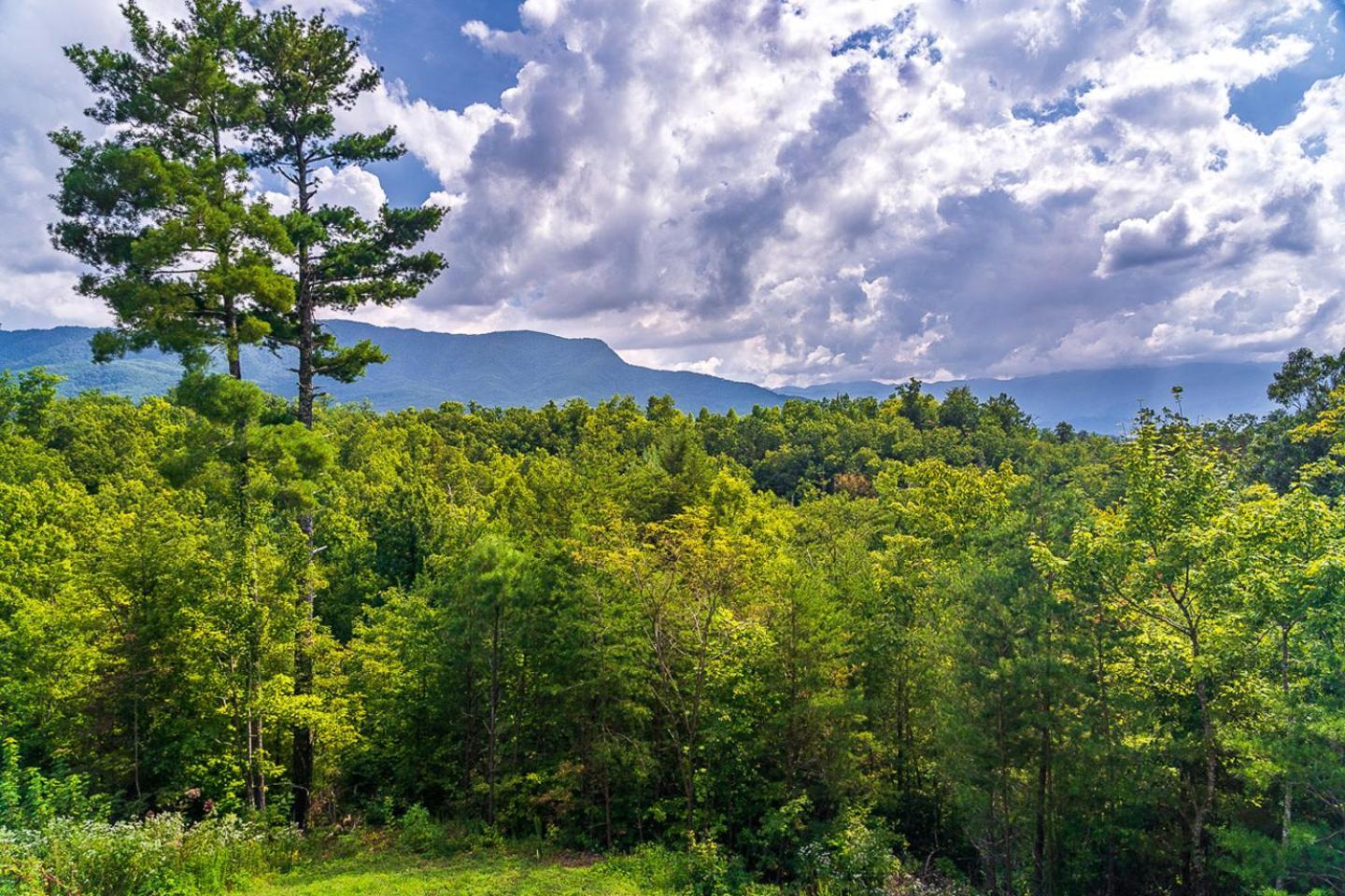 Big Bear Ridge Lodge - Breathtaking Mountain Views And Private Forest Scenes In Amazing Large Log Cabin Гатлінбург Екстер'єр фото